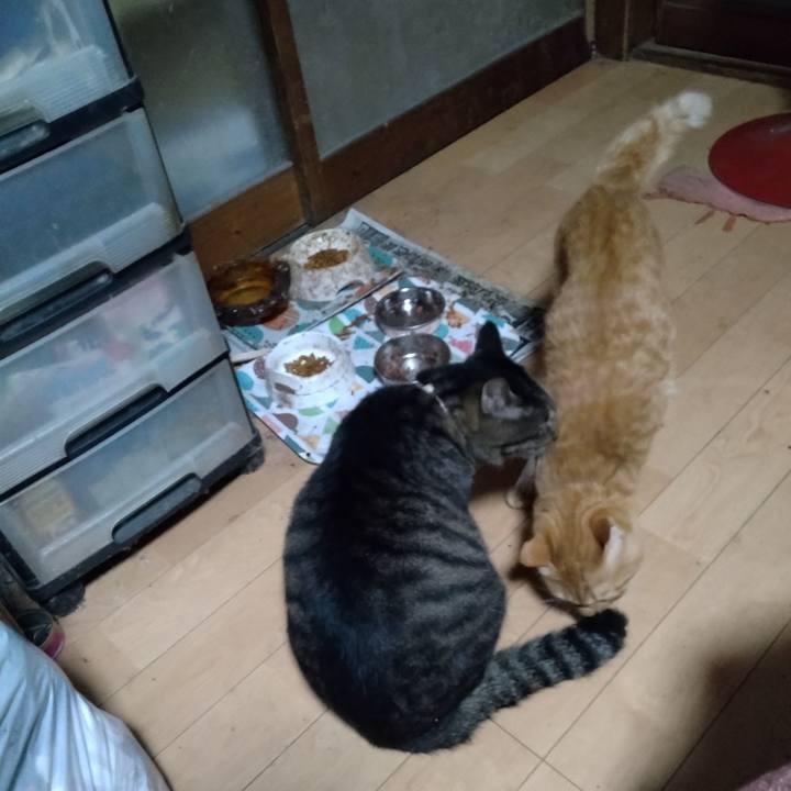 E4cf1966 e82a 421f 85b9 f46cb084efb7 1668035246414