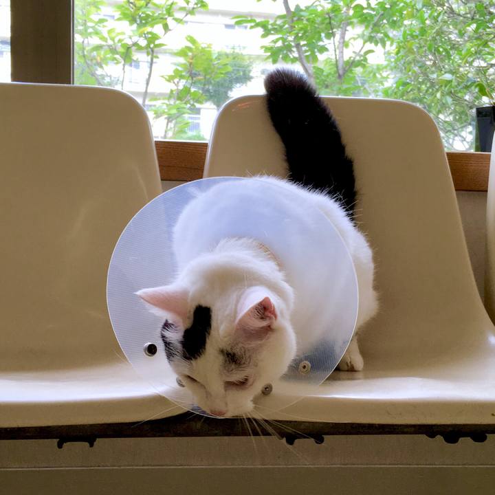 E4cf78ef 1c8a 4723 983c 91b1e4a35335 1567577070810