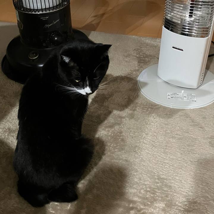 E4cf8177 df2e 4f65 84c0 35dc62ce5063 1736915432545