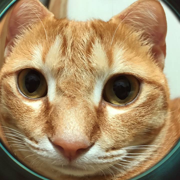 E4cf8f52 8ded 47ac ae50 612c64421074 1515429689462