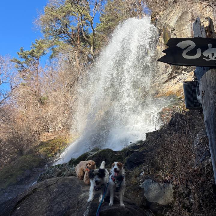 E4cf90f2 dd12 444f a5fd 57510cdb6e96 1764560164244