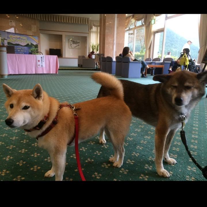 E4cfca0c c36a 4a8c 8062 fb9e24e81a11 1604419721055