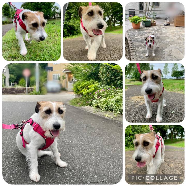 E4cfd82e 5544 4d32 a323 e5de6034df48 1655552617986