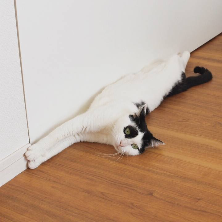 E4cfe23e 09cd 4cfd bd98 93c0d563939e 1576124913786