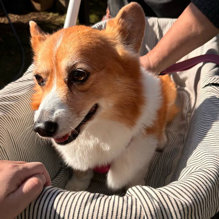 E4cffcff 871a 4774 909e a536d609df97 1730949652374