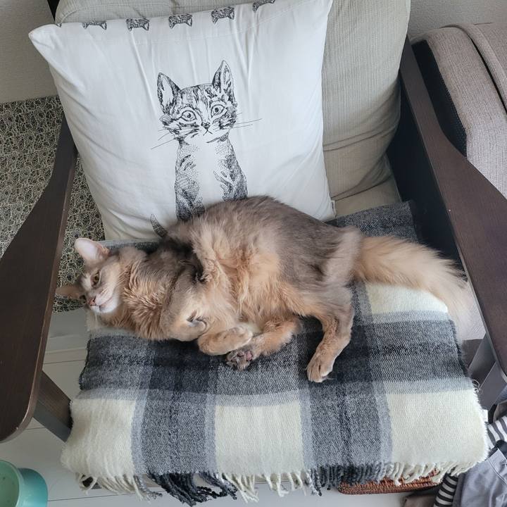 E4d014b4 75f1 4745 ac38 9fa733917057 1696738762988