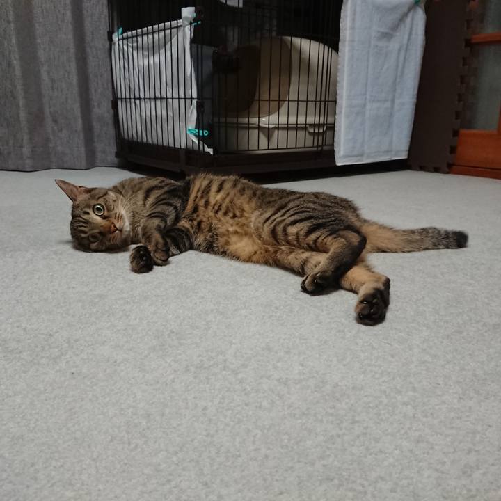 E4d026f6 274e 435c 958a f43a5e628a63 1559831094507