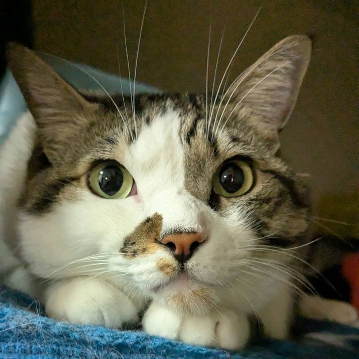 E4d03479 5737 4018 905b 71120258859e 1763368204052