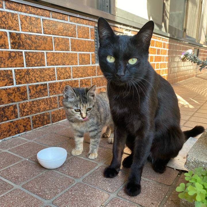 E4d053bd 4e0c 4a9b 8c1c e5c594a8b7a7 1763878830200