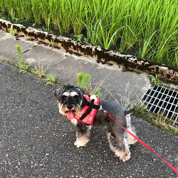 E4d06a4e 3ec9 4d47 ad13 61971c72da5c 1594908181353