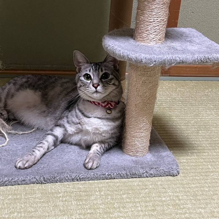 E4d07de0 3f8f 44b8 b14a b99830f87afe 1743132986529