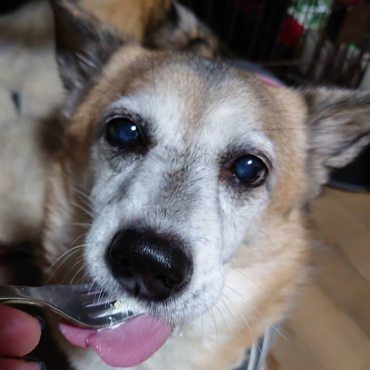 E4d0ebda dd7e 40d5 9f92 1352f9ff32e3 1668003147985