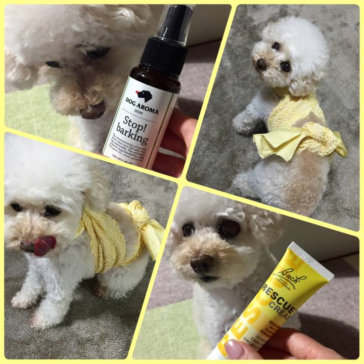 E4d0f6d8 8e7e 43b4 bdf4 251619b9c591 1529538250385