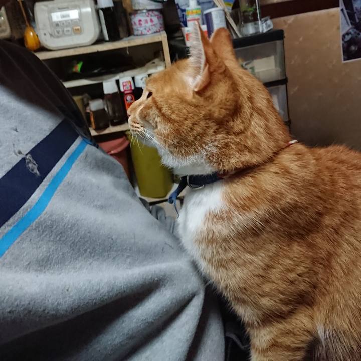 E4d125cc 8855 49e7 925c 0a84e62126da 1601709559385