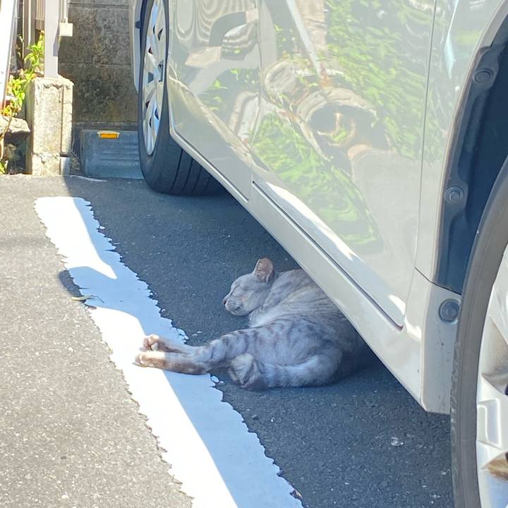 E4d12ca4 0e97 4a91 8bdd f3318d5e94a2 1662817684916