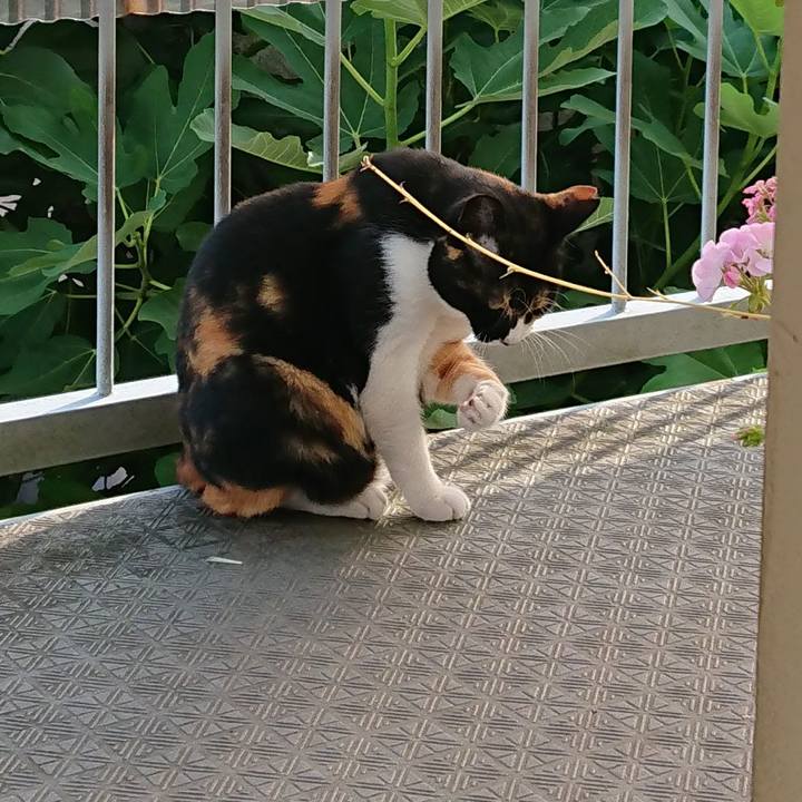 E4d14afb e4b8 4e2a 9872 6786ca2fac7d 1531452731339