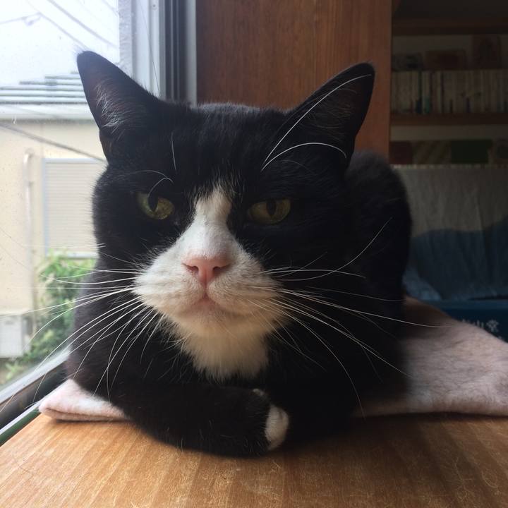 E4d16a13 4f2b 4103 8c02 9279b77d6fe1 1538694830155