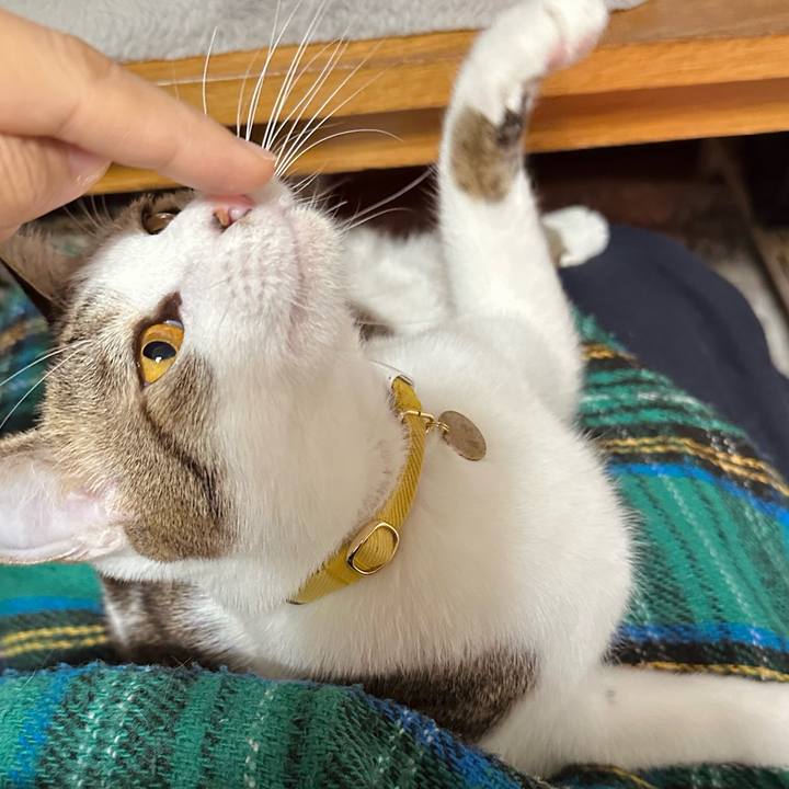 E4d1871a a039 4b75 8701 e704fb891bf5 1766045496717