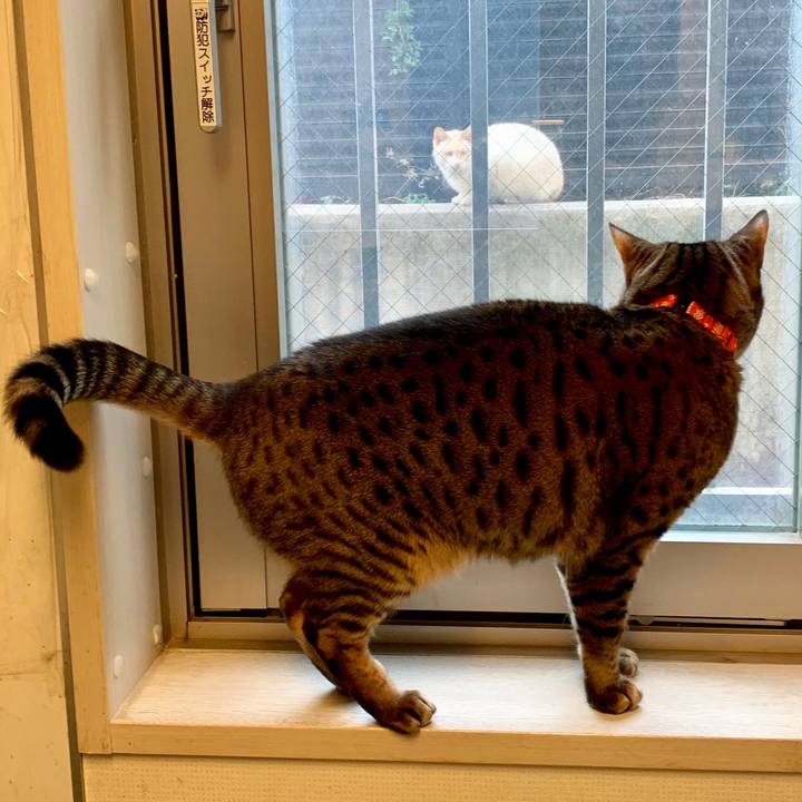 E4d19aef 0ab4 4324 97e6 b1b956896cd6 1545775068698