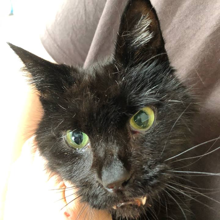 E4d19d06 e4d3 4daa b65b bfd992d05ffb 1647498894485