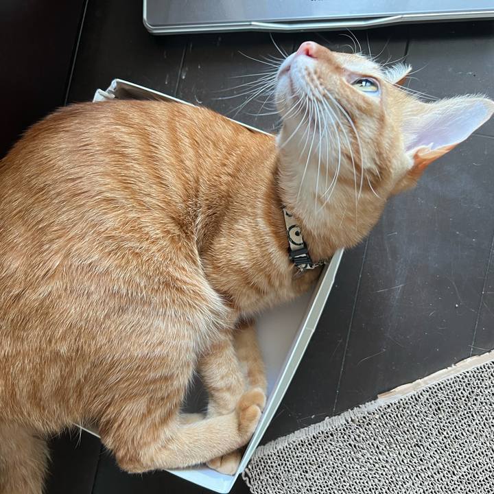 E4d1a820 fdb2 487d 8882 04412bc7e9ba 1651622537726