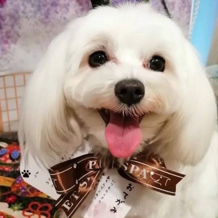 E4d1af0b 1284 4e54 8ad1 03837081f376 1621244451245