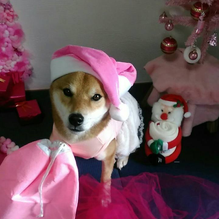 E4d1b390 0603 48e1 a715 adb5e23ed64d 1577016016459