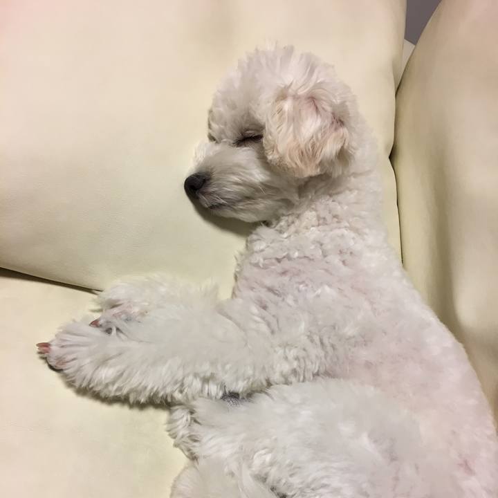 E4d255ab 3a47 4150 8fae 1baaa37239c6 1526821077257