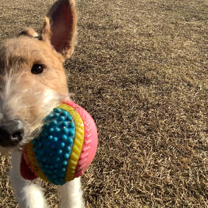 E4d2962d 3688 4e91 a400 cee97b329694 1768220025417