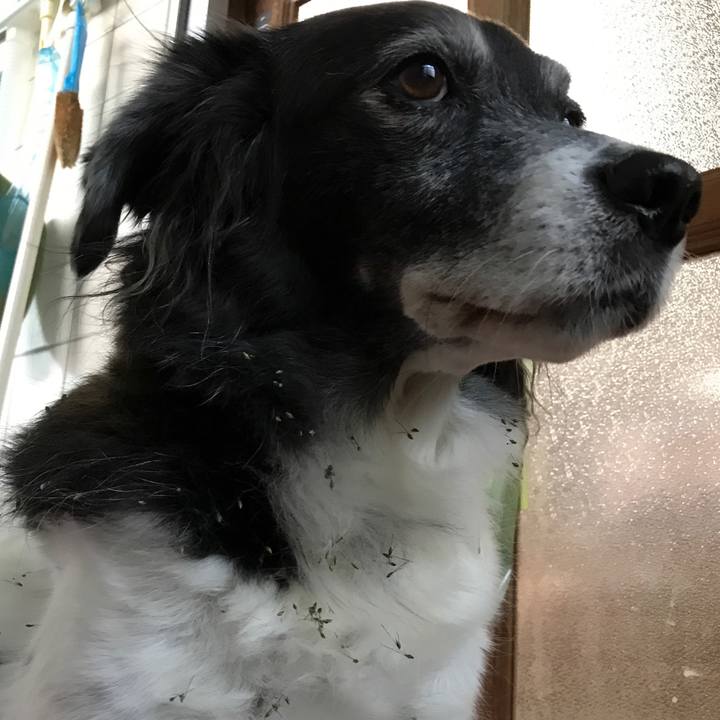 E4d2c18e 35c1 4a23 aca5 5d360560b714 1510826688550