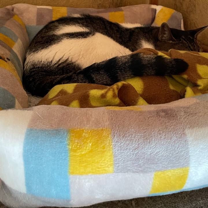 E4d34030 873a 4f81 a43d fdd1a80d082a 1663033584101