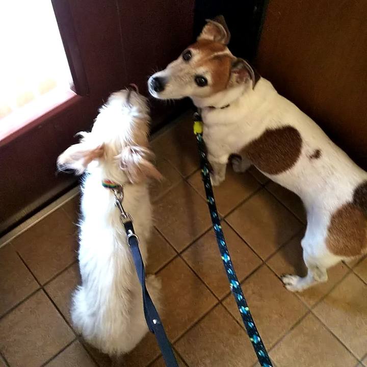 E4d35613 059c 455a a479 d1e840e6dfc0 1537076777751