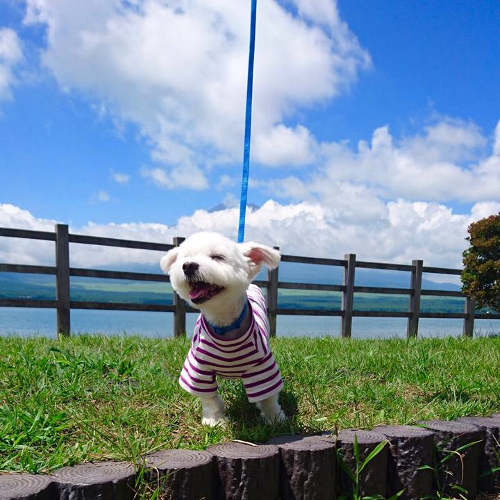 E4d37eaa bdb6 4bba 879d 144bd16ba5a0 1522622670894