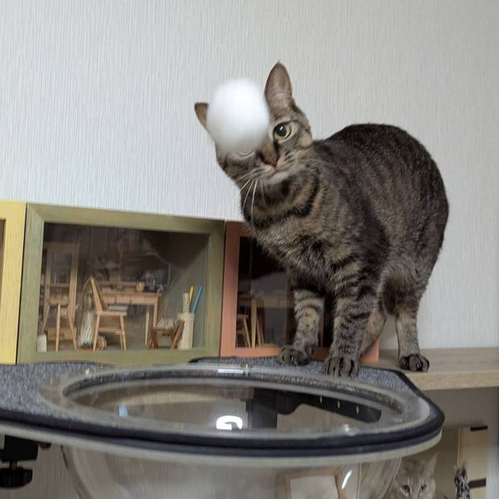 E4d3d4aa 9f8f 4b0e 8c2d 5f4b2837d2a6 1735294012507