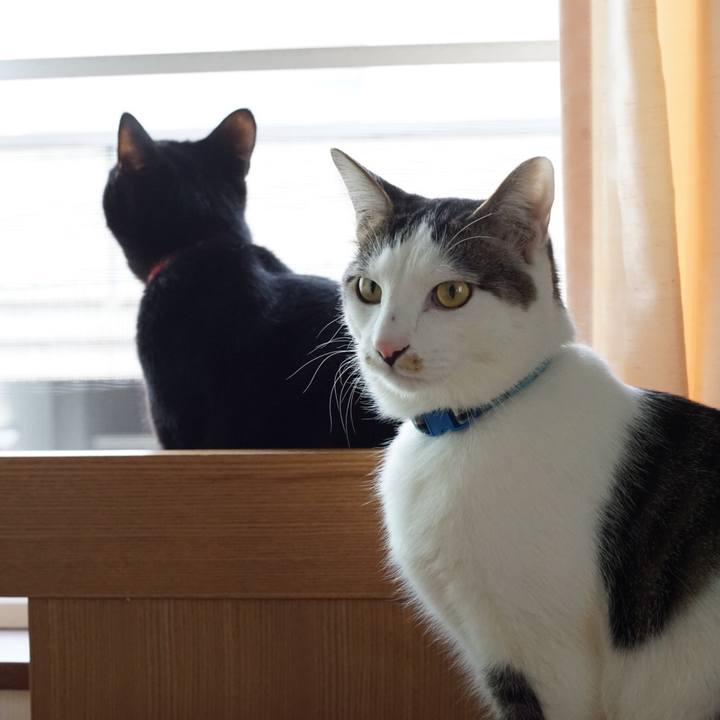 E4d3d6ea 796a 4f45 8b7a a2c630d2e3d1 1521874229938