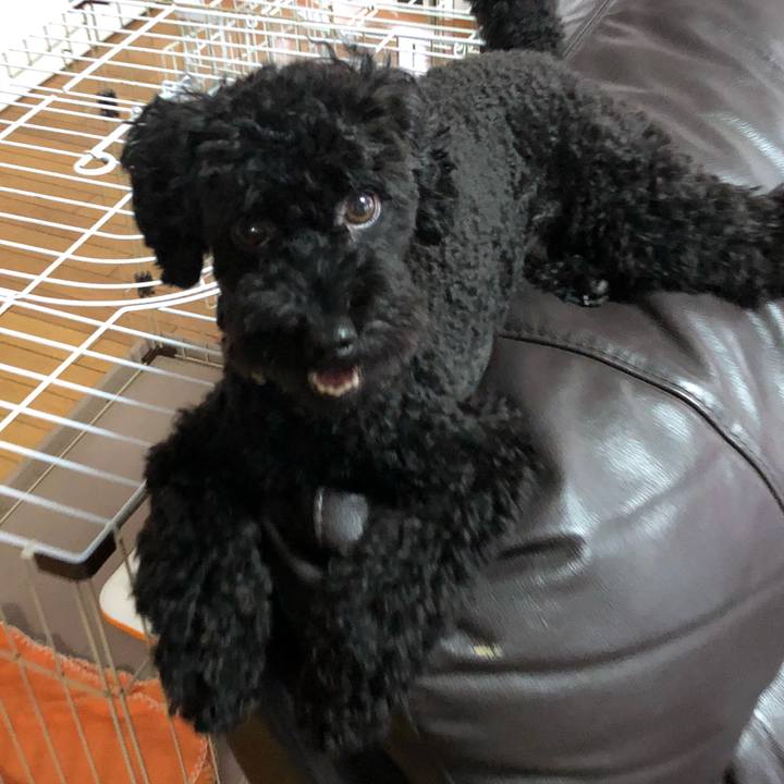 E4d3efb5 a1bb 4d36 8684 9b6b64705dc1 1536793911591