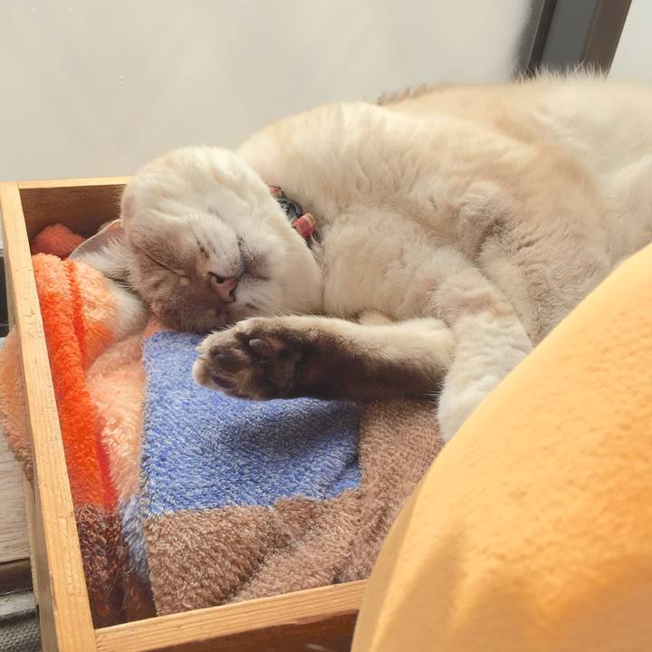 E4d427e0 9665 4771 a1df 2412a45d9f3d 1580788252290