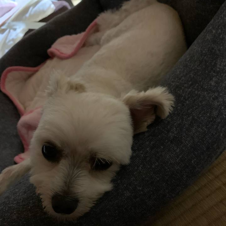 E4d4285c ac54 49a8 8931 8160452ba3d6 1591781415525