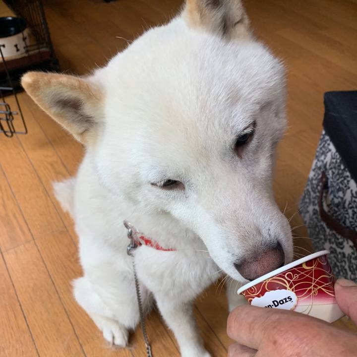 E4d459c9 5bb5 4f34 872c 45513e64b8c2 1561259818137