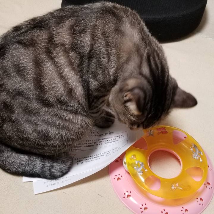 E4d48f36 992d 4074 b321 ffae240de073 1693184850894