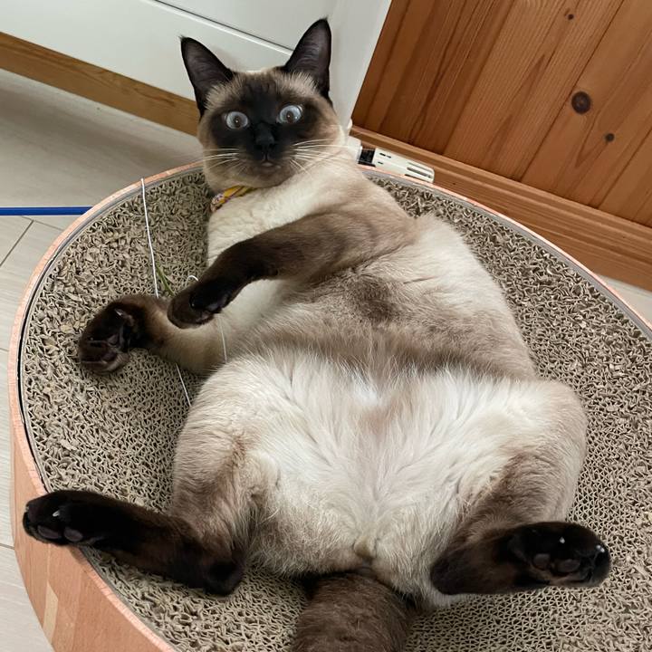 E4d4b9eb d5a3 4e23 ad22 00fdf30d4f7f 1722117353450