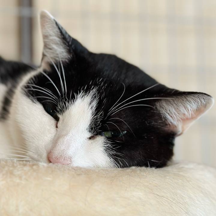 E4d51c31 bc50 45e3 94ed 8c3f37b2b9a7 1704496069662