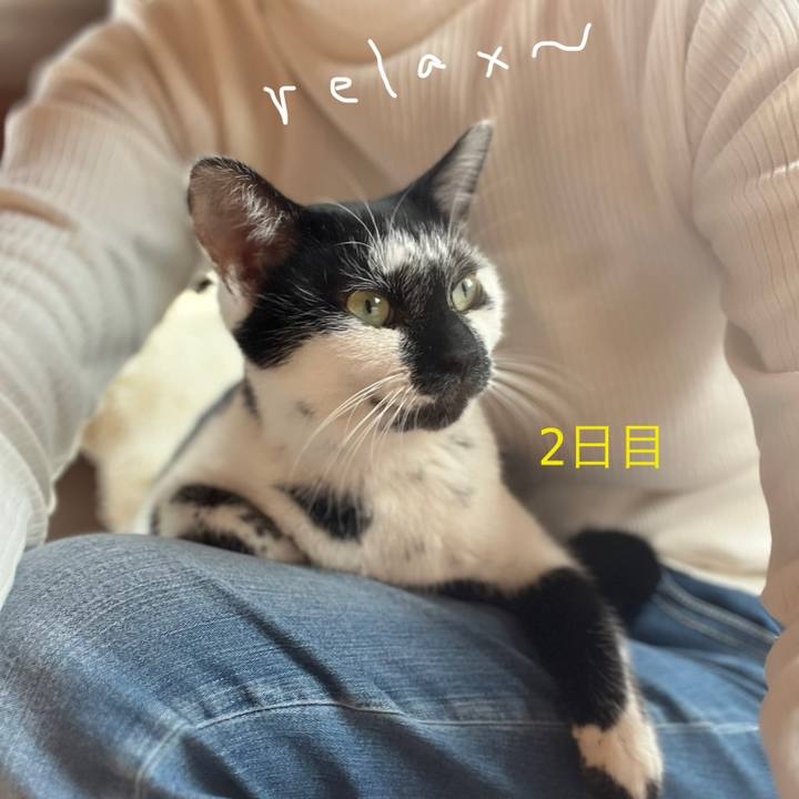 E4d5c913 e9b3 4ad7 a56d b8444149f0ea 1736076115476