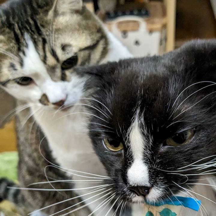 E4d608ae 64e5 4f6d 9552 2ed9f349ee6c 1672924748277