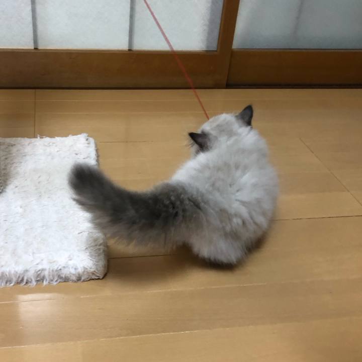 E4d60a25 b26e 4252 8664 b7d1504acc75 1630325361774