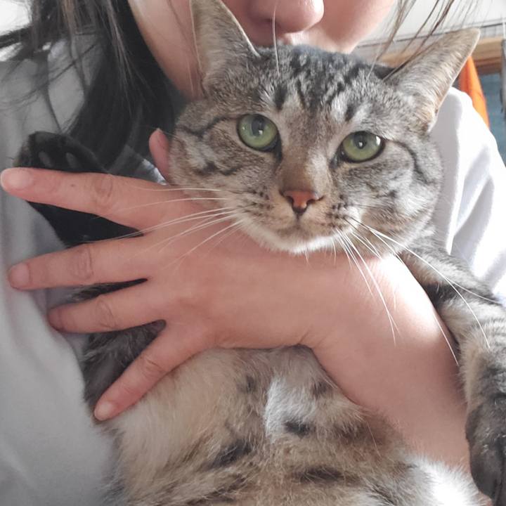 E4d612d0 50a5 488c 9b31 f3787b2c433a 1713518791403