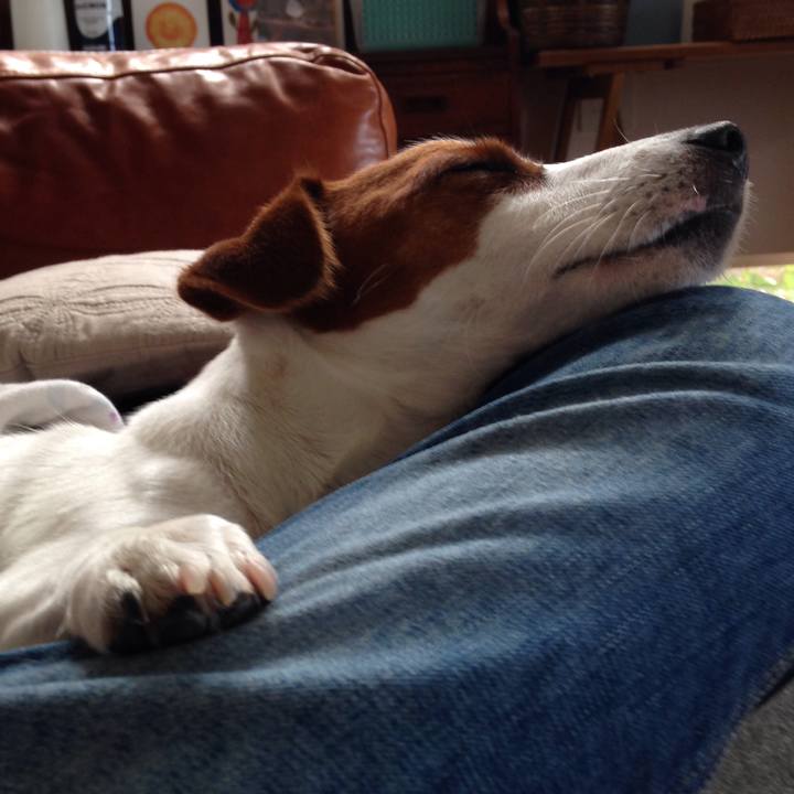 E4d61e62 3b1a 4ad0 9d9f 6d1cfc56cc37 1507804276774