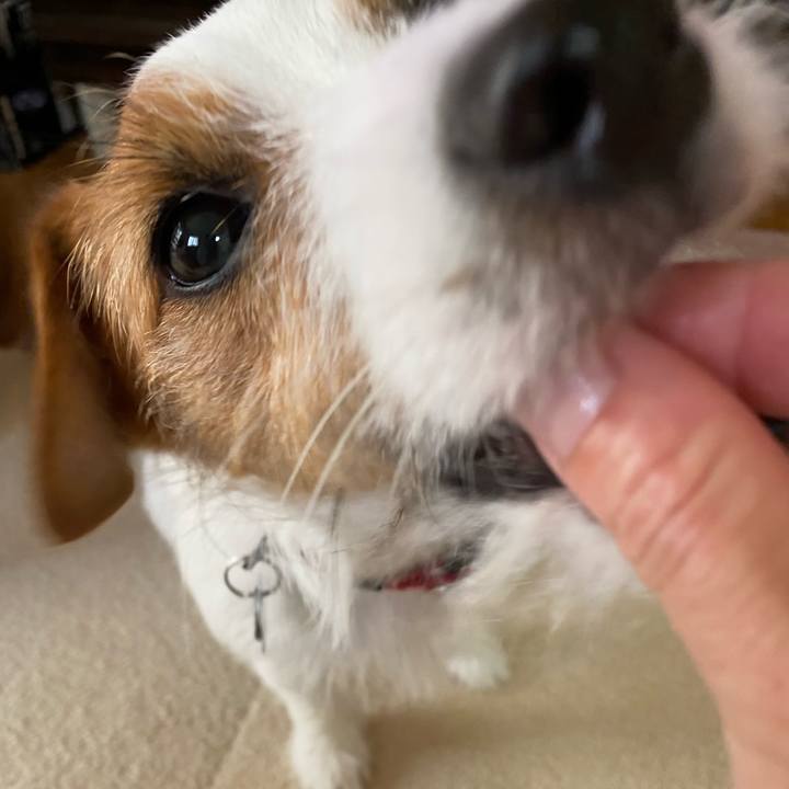 E4d622ba 23c0 468d bdd2 6a15d5ac4143 1627790673403