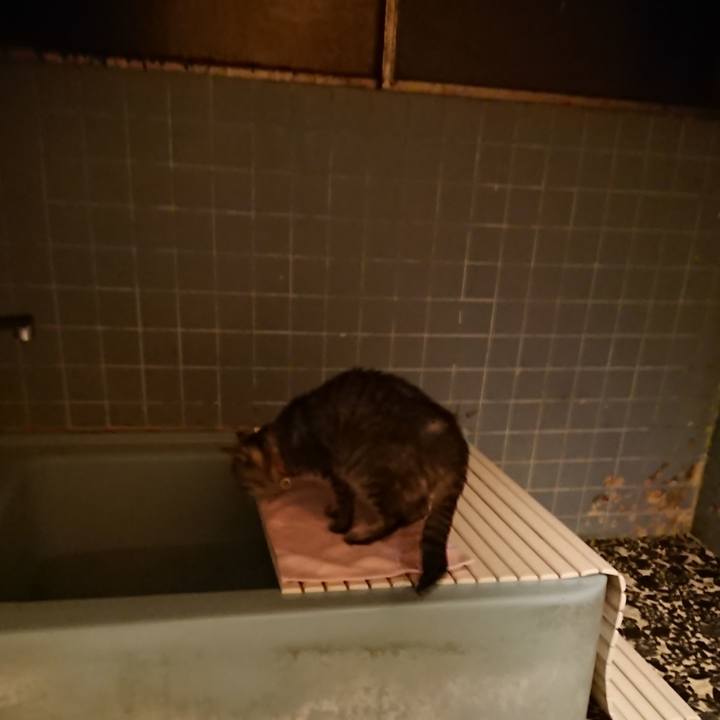 E4d65800 922f 4b86 8785 7230aa27a347 1580376389822