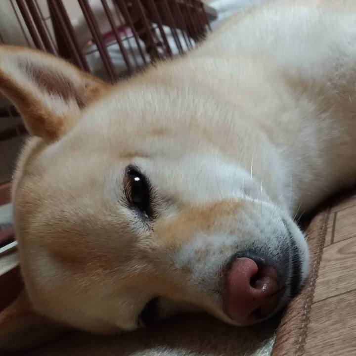 E4d66293 baf3 42d7 a9fd b60e4c9fa160 1562333398592